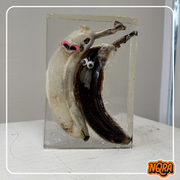 Bad Bunch Radio w/ Black Bananas #8