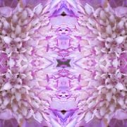 Cosmic Odyssey LXXXIX (Pressure Drop, Xtra Classic)