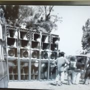 Organic Vibes 01.10.2025