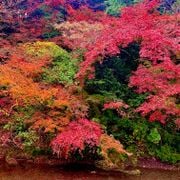 Autumn, 5th November 2025