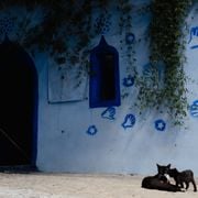 SET - Spring's New Leaves  - Phil LeDoux 03.02.2026