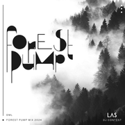 DML-  FOREST PUMP (LAS contest mix 2024)