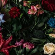 40 Unique Flower Types: List of Names, Meanings & Short Description of How They Look Like