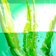 Antiviral Aloe Vera