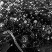 ɦɘɬʊɱ @ Kramladen 29 06 24