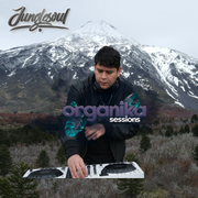 Organika Sessions x Junglesoul LIVE at Volcan Lanin CL/AR 2025