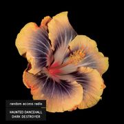 Haunted Dancehall - Dark Destroyer