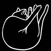 Music For Cats To Sleep To