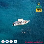 Dinglejam Radio #315