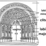 Electraumatisme du 15/01/2026