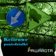 Kefirowe poniedziałki - Wczucior #95/1481 PAWAROTA Radio - 02.12.2024