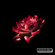 Eclectic Soul 75 w/ Ele A, Dirg Gerner, HNNY, Caoilfhionn Rose, Night Tapes and more