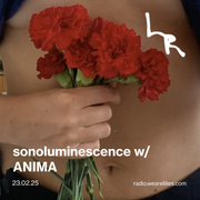 sonoluminescence: 003 - (re)collection w/ ANIMA (23.02.25)