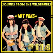 #114 Sounds From The Wilderness 12 Nov 2023