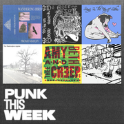 punk this week 63: wandering bird + coffee stain