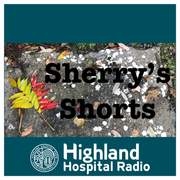 Sherry's Shorts - December 2024