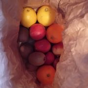 Rockfort Quietus Mix 36- February 2024