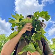 Nonchalance Calculée w Alex Deforce @ Kiosk Radio 23.06.2025