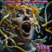#136 Sounds From The Wilderness 05 April 2024