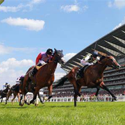 Downlands Racing Show with Chris Carter Brennan - 21st June 2024