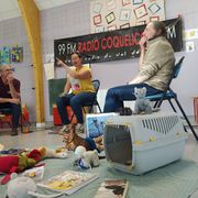 Les Causeries d'Ici - S2E1 • Les Animaux