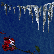 Revenance || Dub Techno / Organic House || 02.25.24