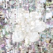 digital bath w/ ollie (01.21.2024)