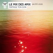 Le mix des amix : Edition spéciale Holidays