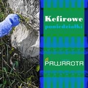 Kefirowe poniedziałki - Wczucior #83/1411 PAWAROTA Radio - 02.09.2024