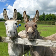 Face2Face with Tim & Linda Forrester - 16th January 2026