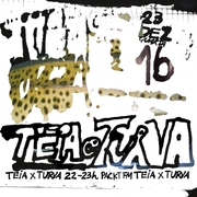 TEIA 16 (TEIA x turva)