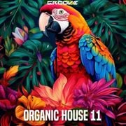Groove Organic House 11