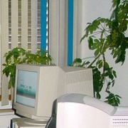 04–06: Vaporwave Music
