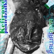 Kefirowe poniedziałki - Wczucior #144/1769 PAWAROTA Radio - 15.12.2025