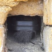 Odesa at daytime / Одеса вдень — 27.06.2024