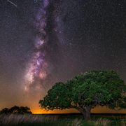 Musical Relaxation Station - Show 24