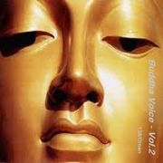 Buddha Voice Vol.2 /138 by O.Men