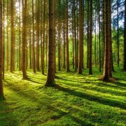 :: LABYRiNTHE OF LiFE ::