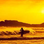 Soft Autumn West Coast Breeze