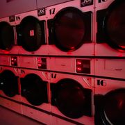 Squid: 9th February '23