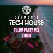 Tulum x Miami 2025 | 2-Hour Tech House & Melodic Party Mix (ft. Dom Dolla, Summit, FISHER)
