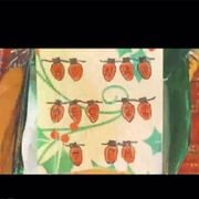 Aw Naw Country Christmas