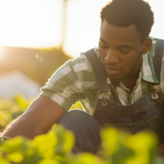 Revolutionizing Farming With Positive Impact Practices From Dr. Bill Releford - Audio Blog