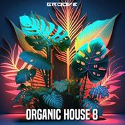 Groove Organic House 8