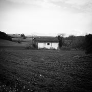 Núvol de fum 481 | niu