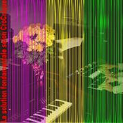 La Solution Fondamentale