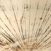 Contenere moltitudini 11/12/20 - neon paralleli