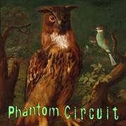 Phantom Circuit #464: Achromic Tit Pun