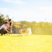 HEPA Air Filter Replacement Types: Choosing the Right Filter for Cleaner, Healthier Indoor Air