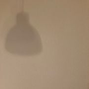 11/11/2024_YNN